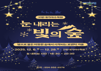 눈 내리는 빛의 숲