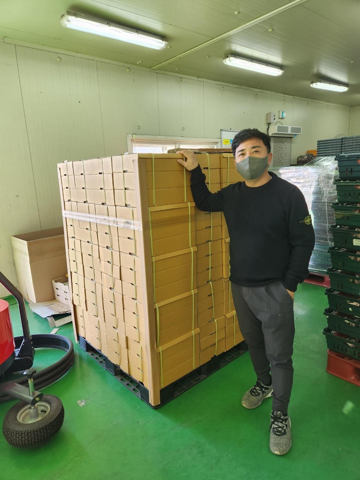 고령군, 고품질‘금실’딸기, 올해 첫 홍콩 수출길 올라 1