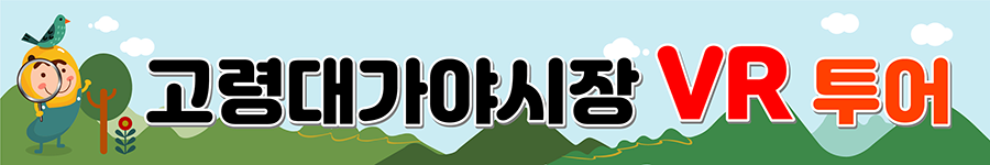 고령대가야시장 VR투어